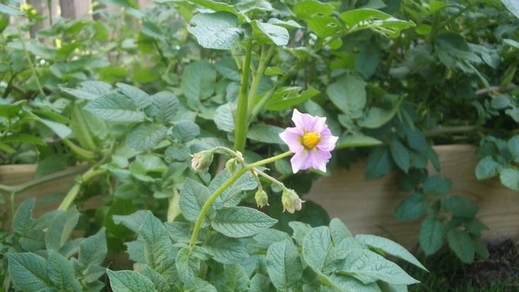 Фото с pinterest.com