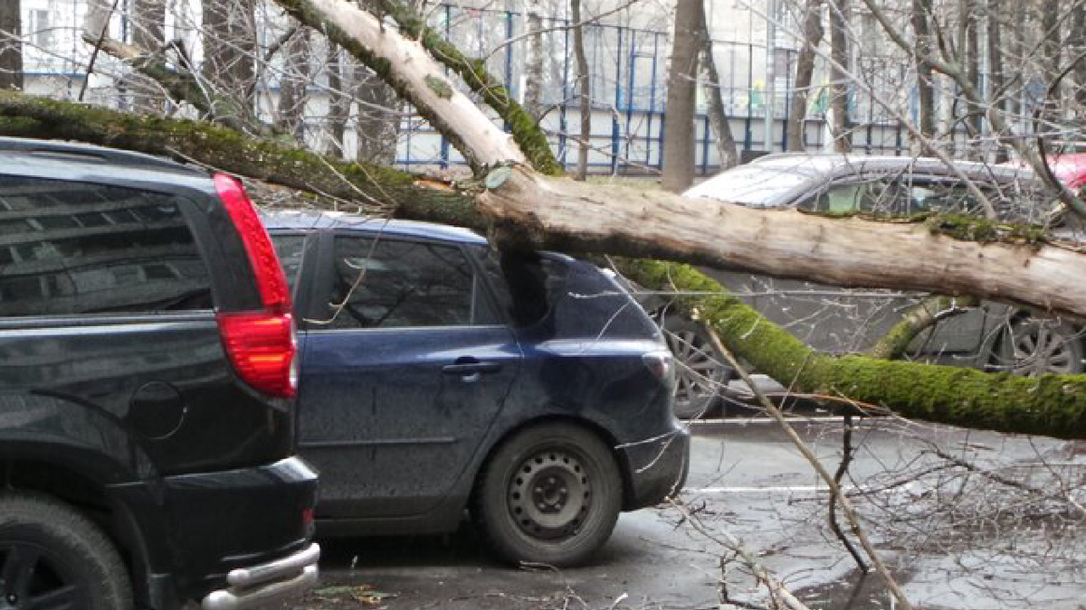 Фото АГН «Москва»