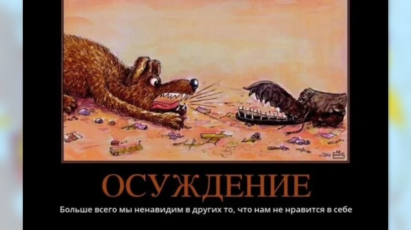 Фото к статье.