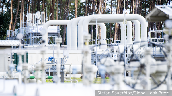     Фото: Stefan Sauer/dpa/Global Look Press   
 Текст: Вера Басилая