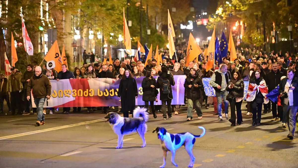 © photo: Sputnik / Stringer 