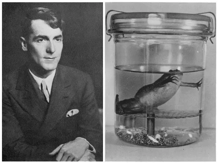 Автор: https://avatars.dzeninfra.ru/get-zen_doc/5295210/pub_61f6479ec2918443d5bbca25_61f6482b5b8dd05028af4464/scale_1200