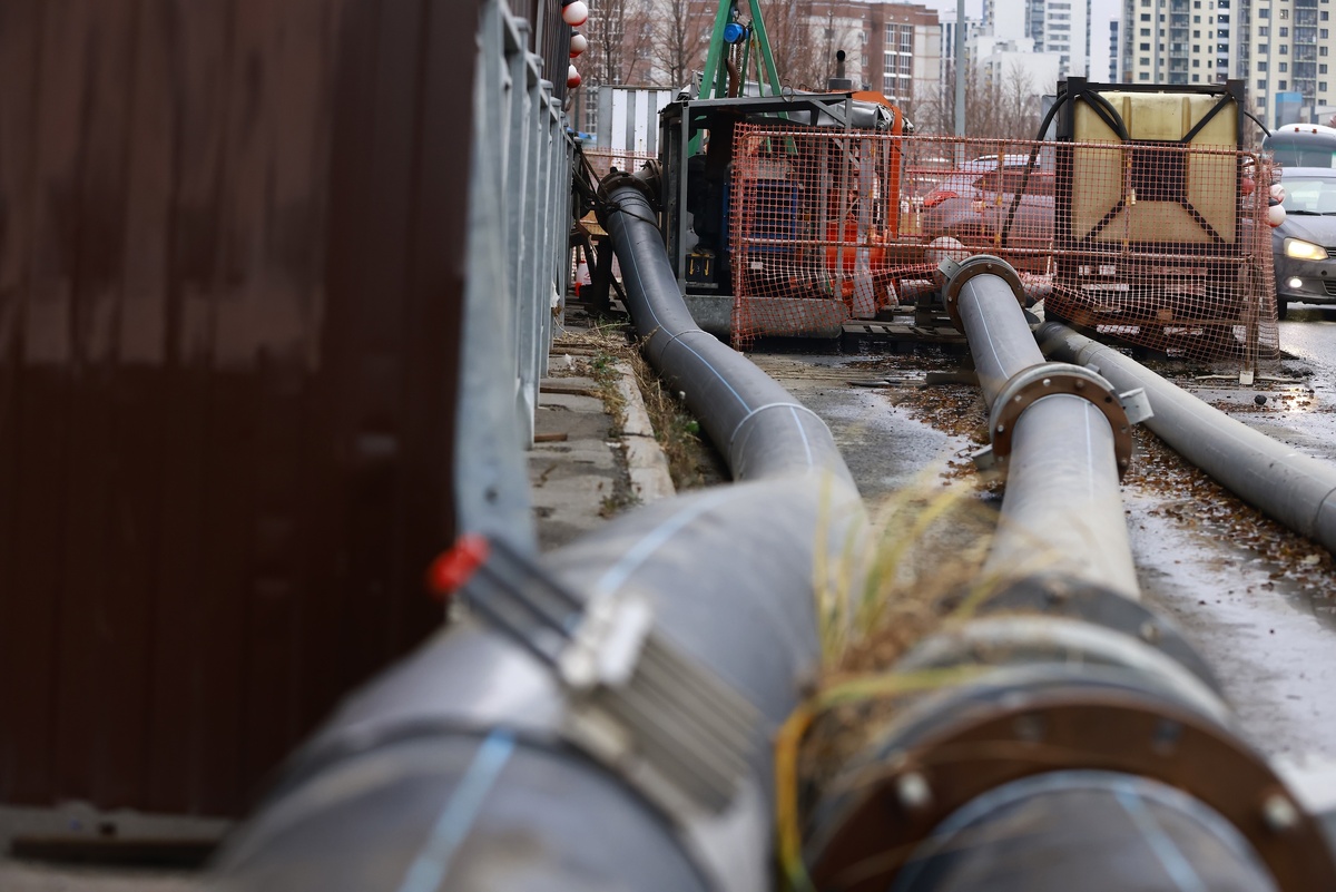 Автор фото: Павел Хацаюк / ИД «Вечерняя Казань»