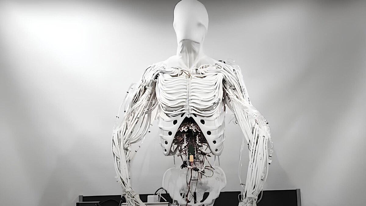Фото: Clone Robotics