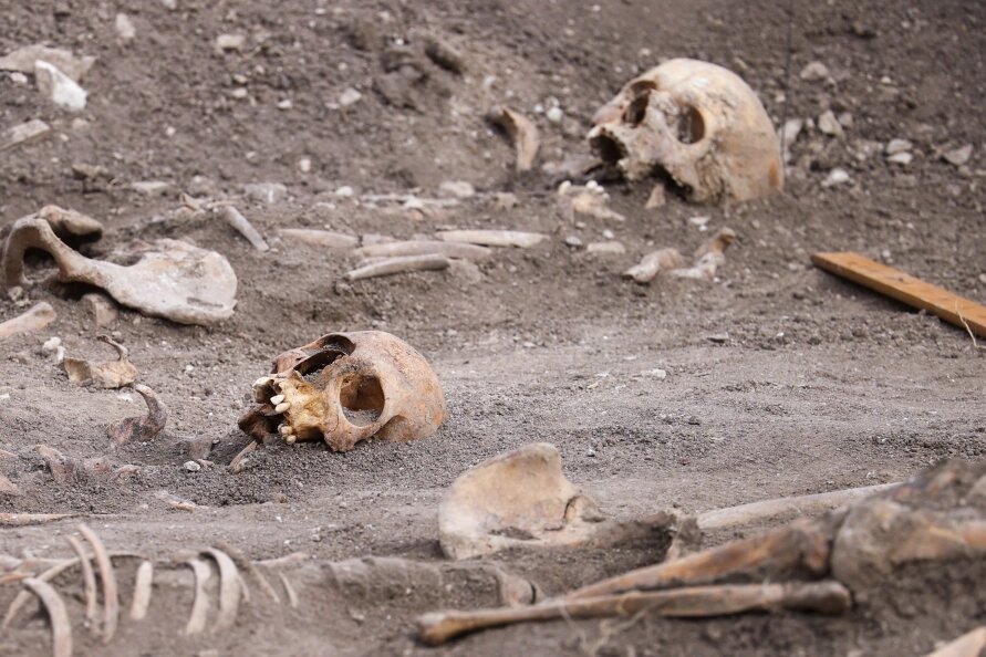    Фото: Bulkin Sergey/Globallookpress