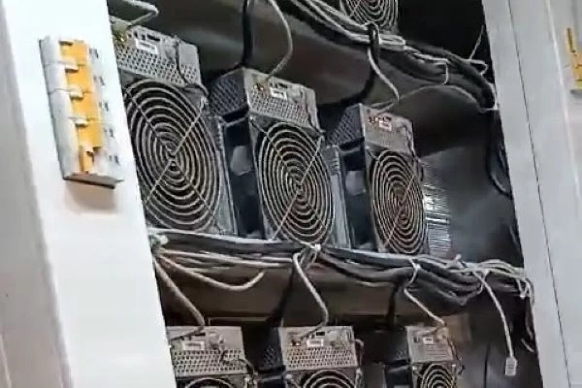    Крупную незаконную криптоферму выявили в Дагестане