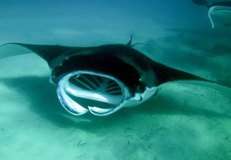 Ваше такси подъехало