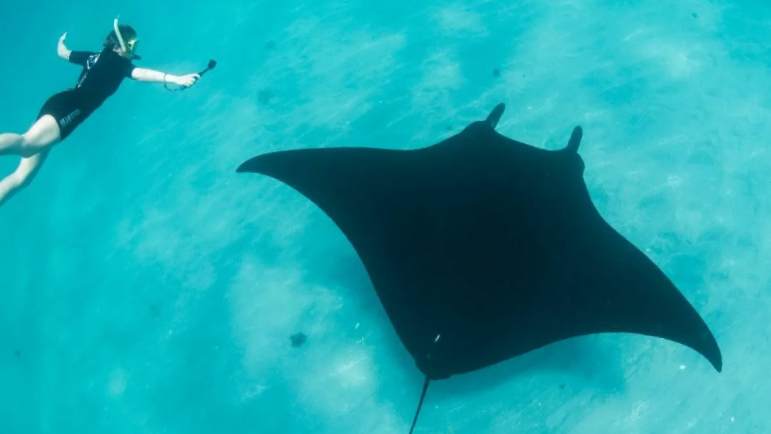 Да хватит меня преследовать!