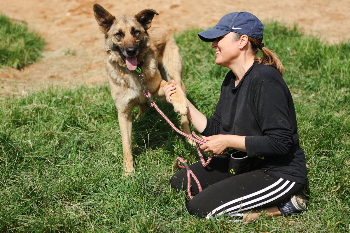 Харрис. Подбросили щенком к приюту +7 903 103 3951 Анна