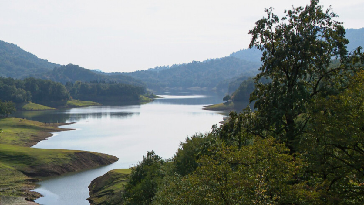 Там могло быть что-то такое. Как в субтропиках. Источник изображения: lite.mir24.tv