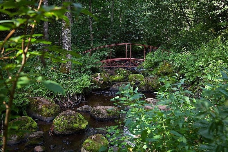     Фото: Валерий М, Яндекс Карты