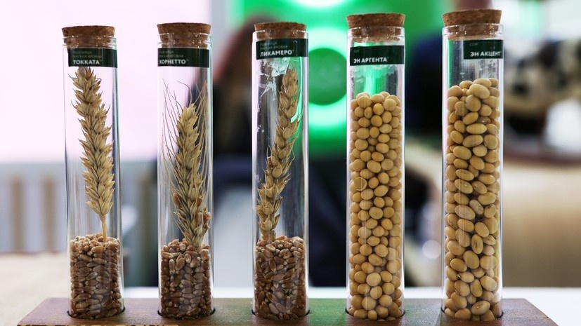   РИА Новости