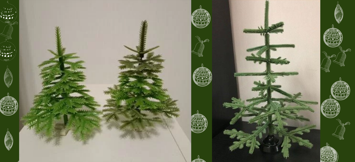 Маленькие елочки были высотой от 13 до 60 см