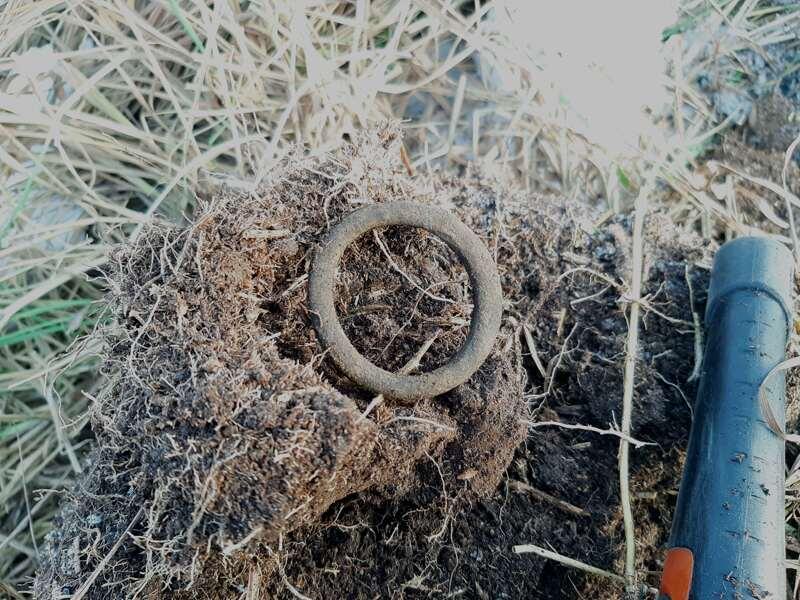 
Первый нормальный цветной сигнал, на деле оказался кониной.