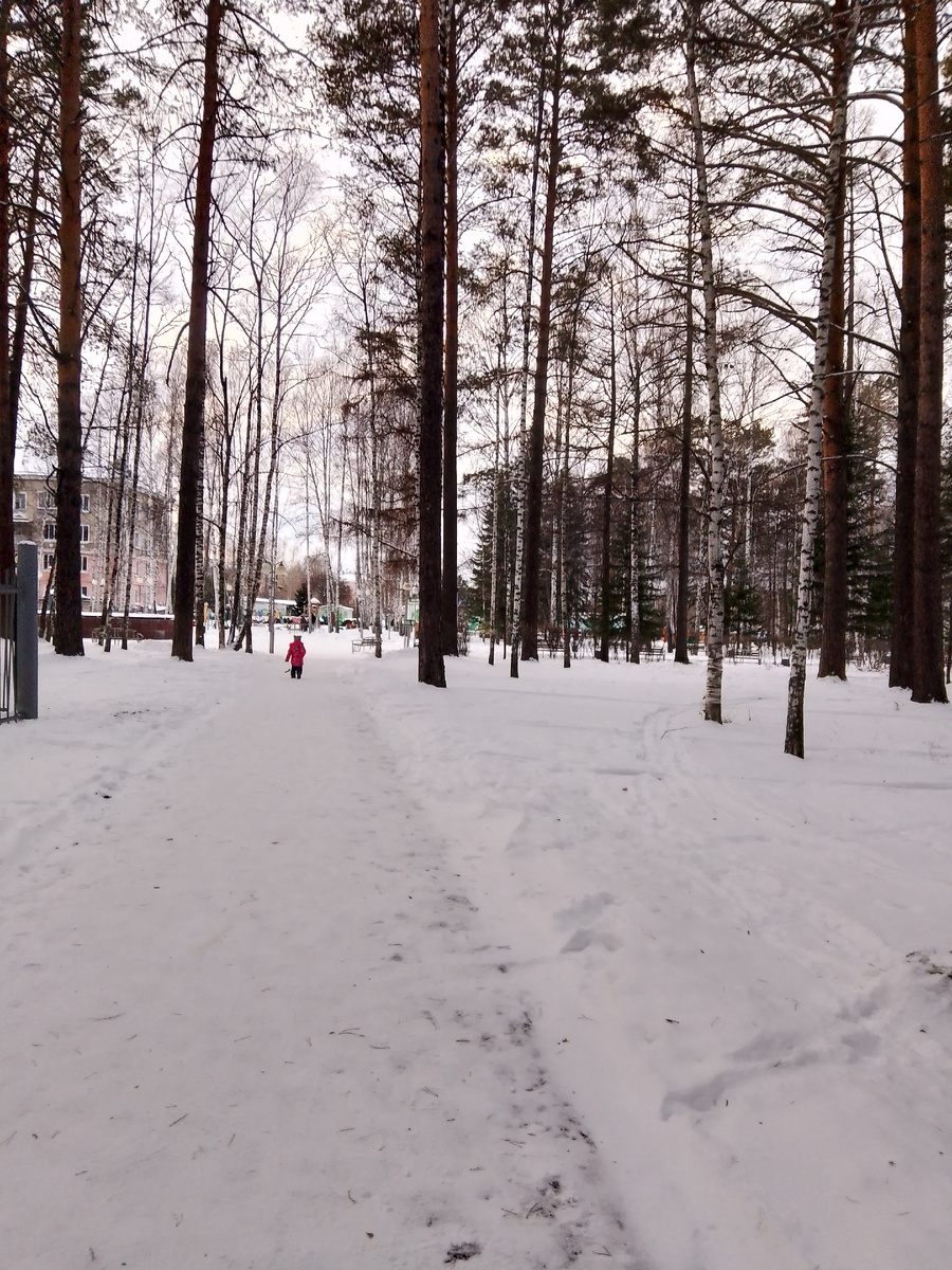 Природный парк