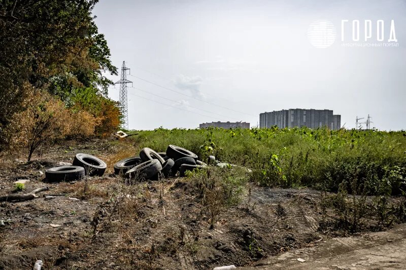 Ряд федеральных ведомств выступили против планировки сельхозземель. 