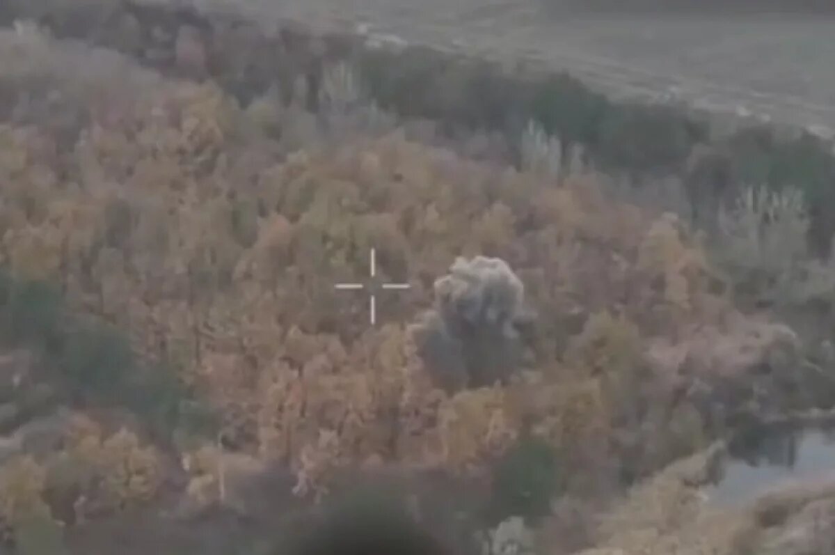    Минобороны показало кадры освобождения ВС РФ Новоалексеевки в ДНР