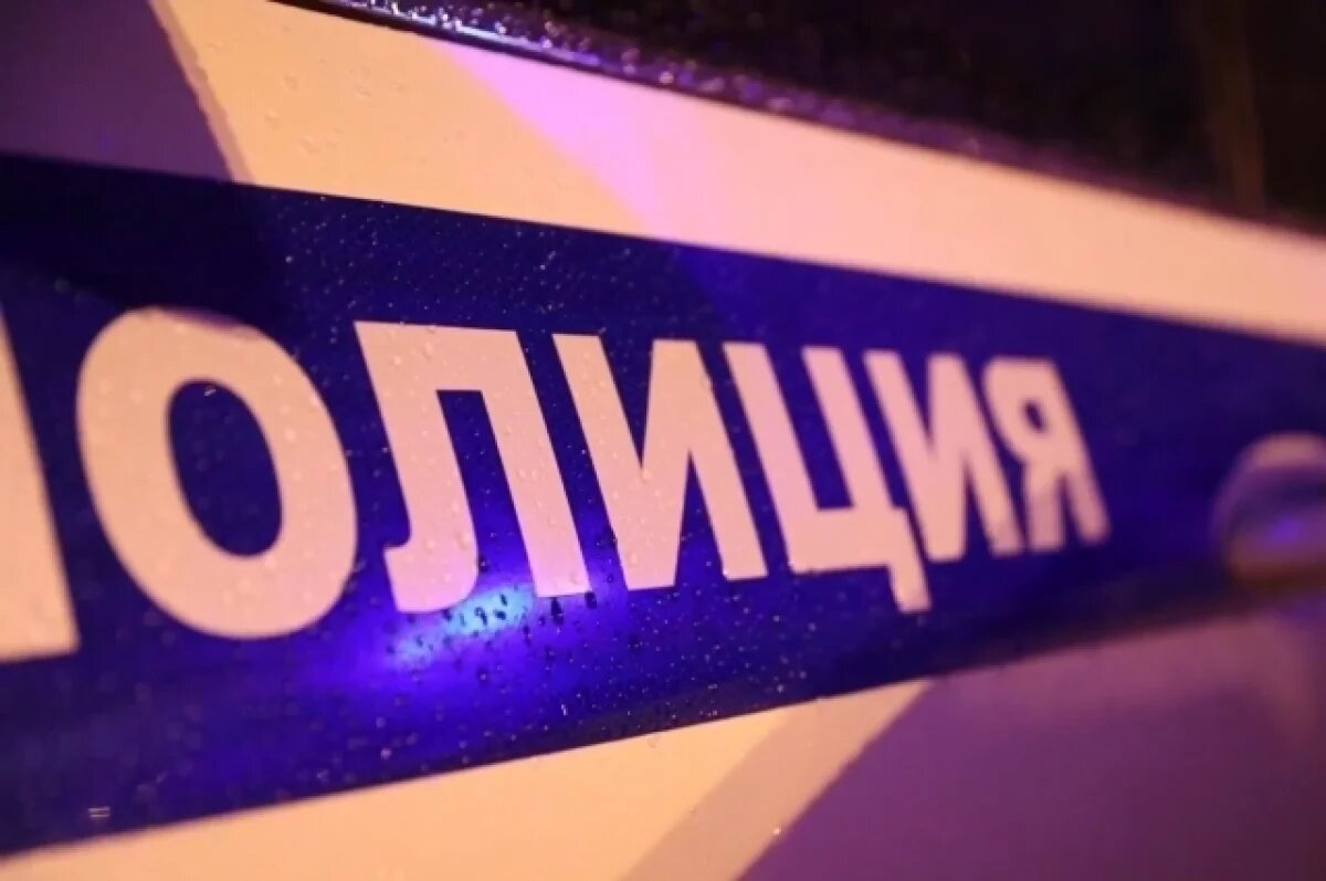    В Петербурге после похищения подростка возбудили уголовное дело