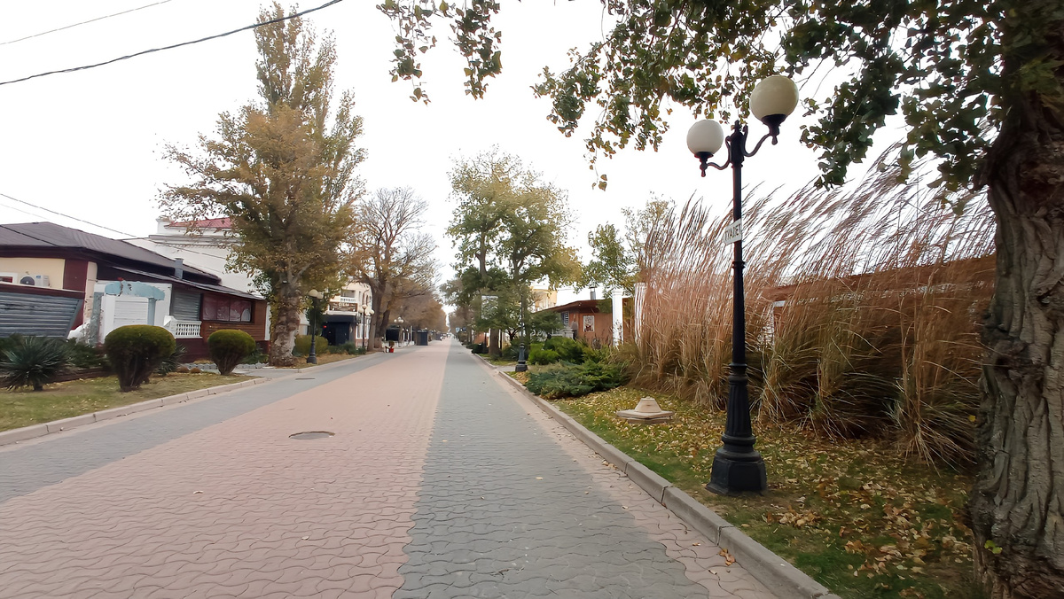 Смотрите как ветер гнёт колоски