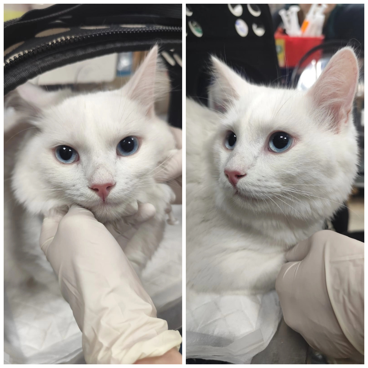 Кубрик домашний, отдали по семейным обстоятельствам.