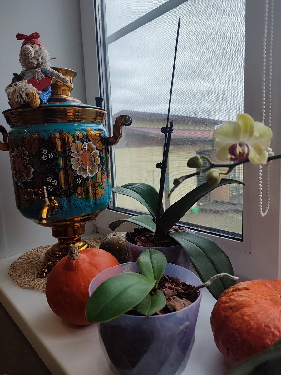 Фото моей заказчицы