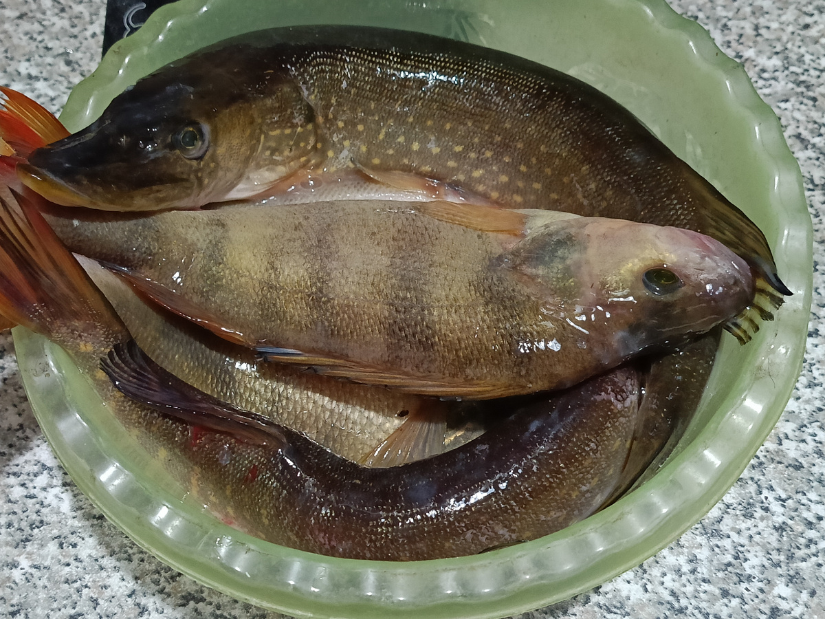 Это самые крупные, есть ещё поменьше.