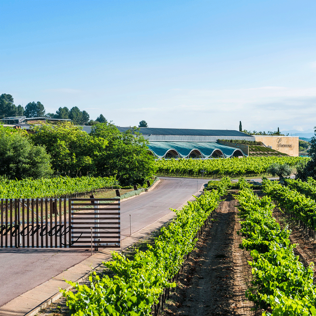 #45 Gramona →→→