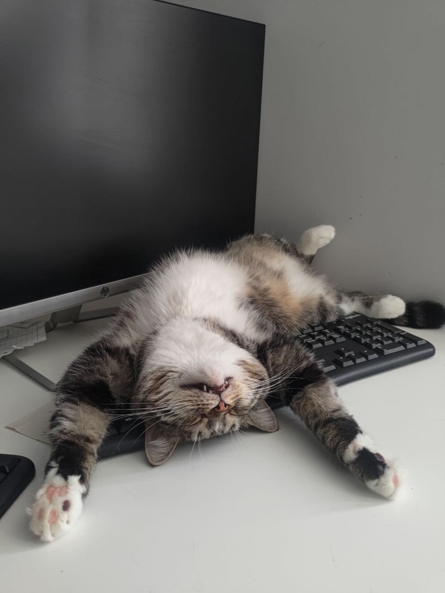 Комфорт в инвестициях