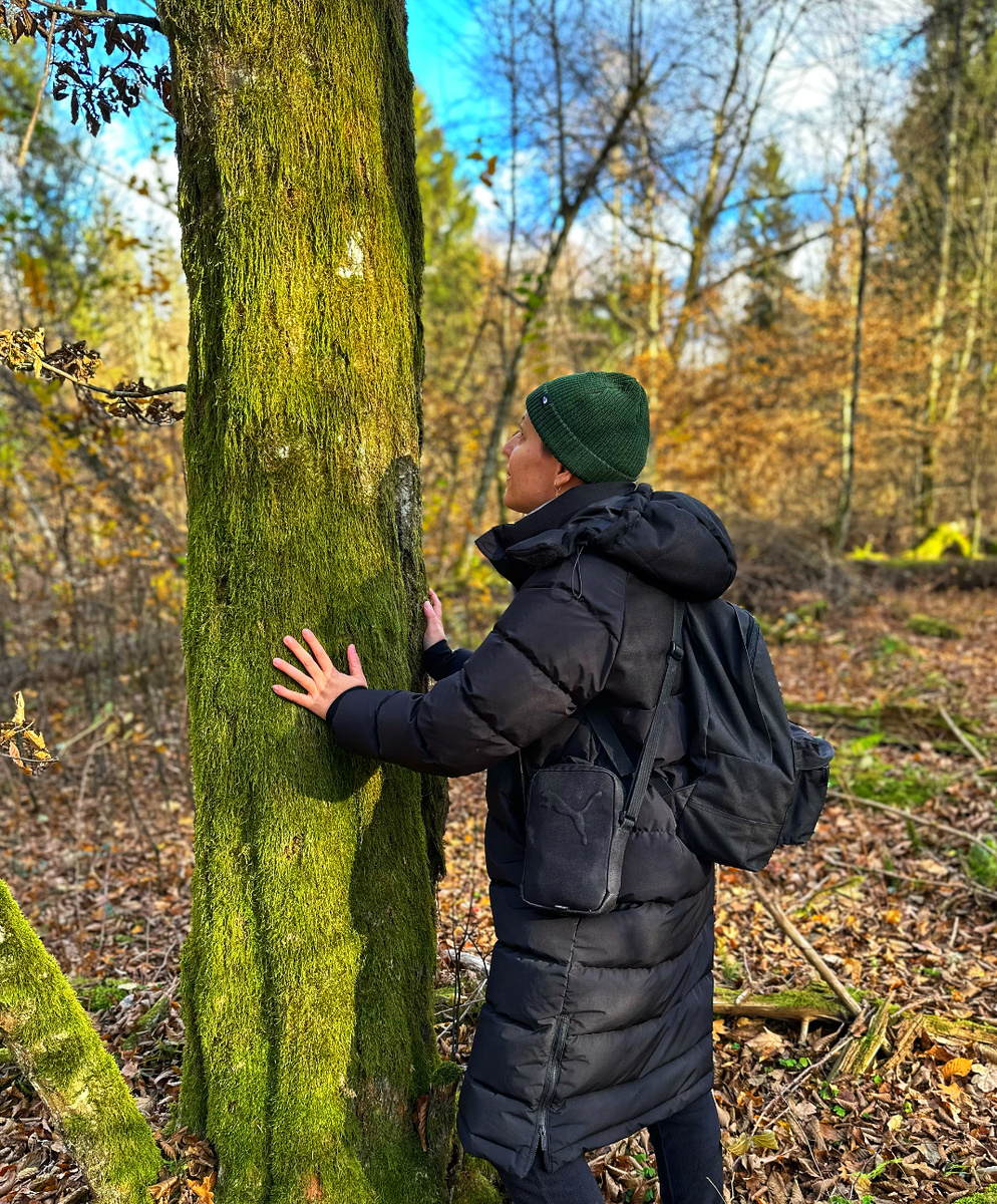 Беловежская пуща 