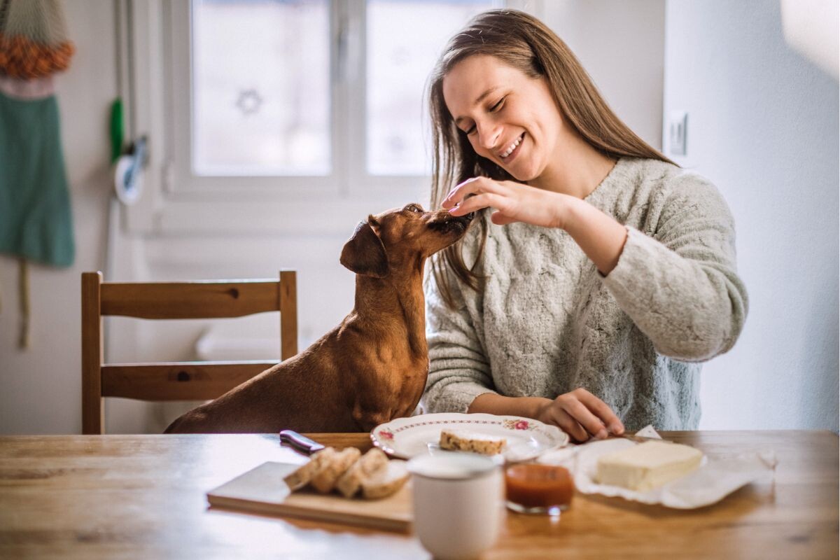 Собаку хозяйка кормит со стола 