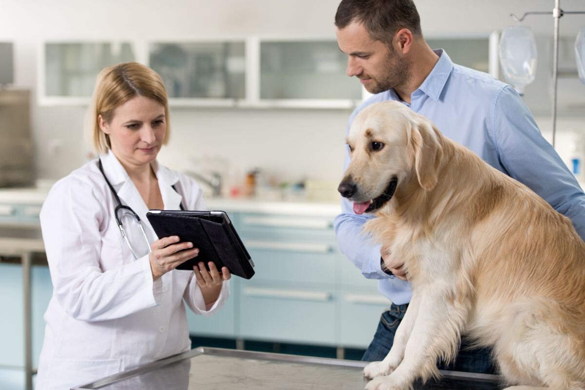 Хозяин с собакой у ветеринара 