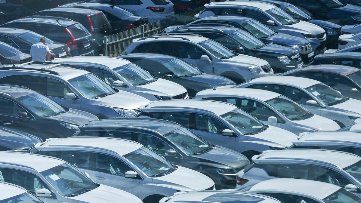 Фото: Petrov Sergey/globallookpress.com