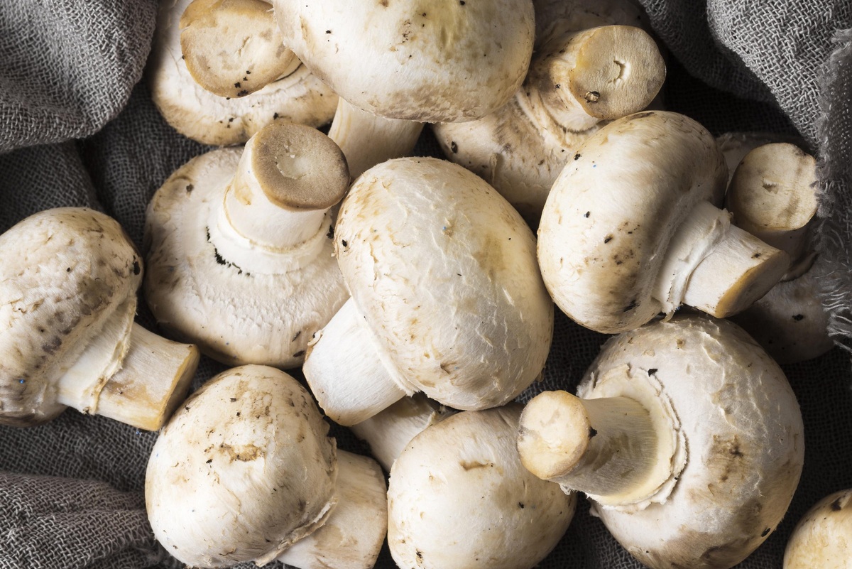     Шампиньоны уменьшают размер раковых опухолей и тормозят их дальнейшее увеличение