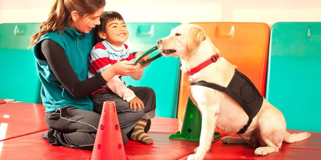 Как собаки помогают людям: что такое канистерапия и кому она нужна