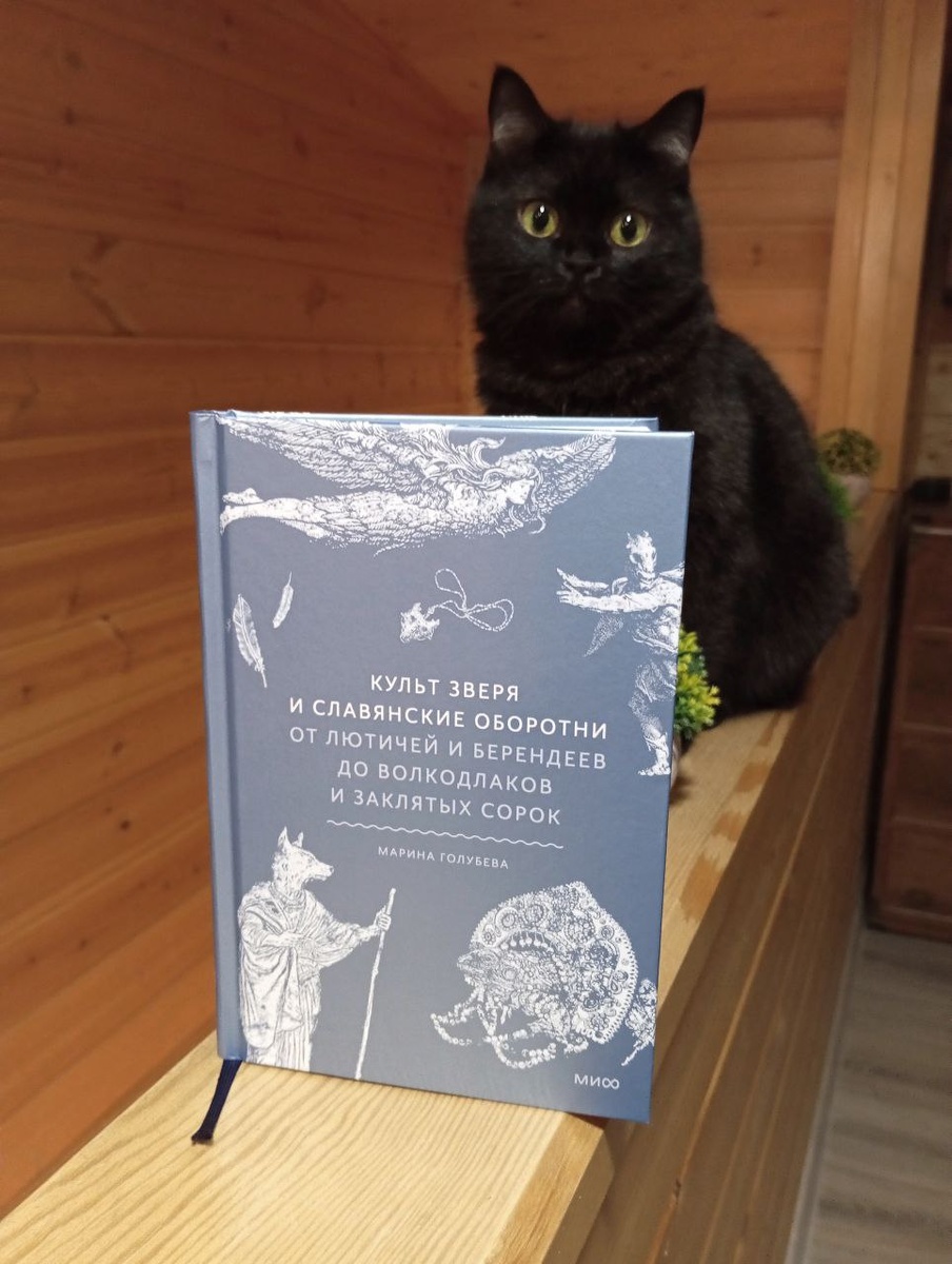 Этот подросшая кошечка по имени Мара. Она любит рекламировать книги.