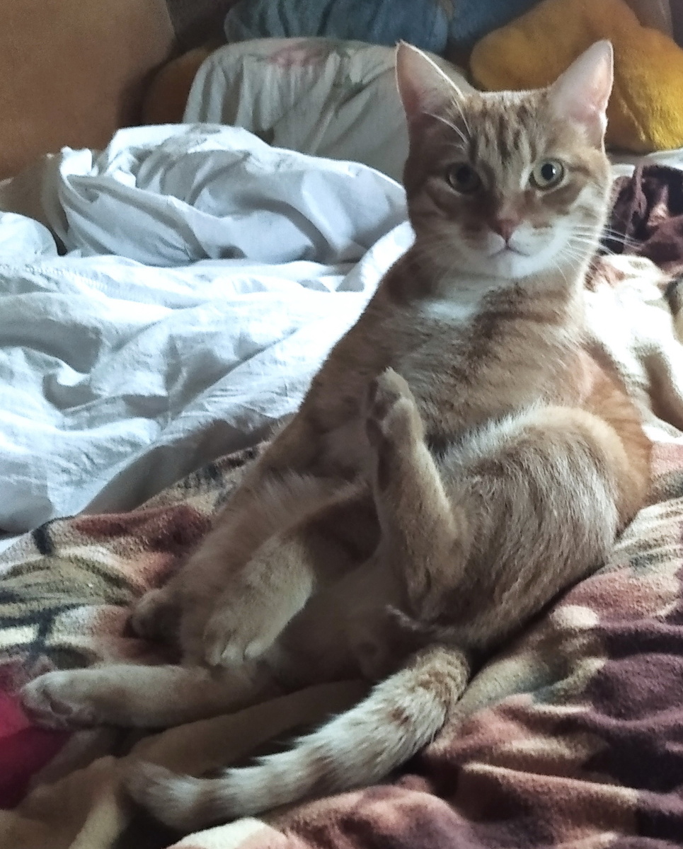 Личное фото