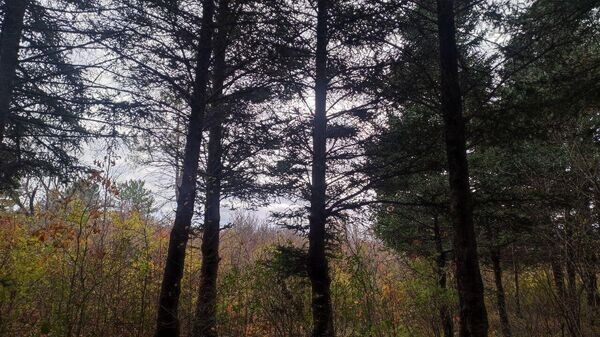    © РИА Новости Крым