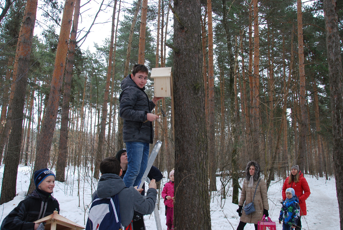 Установка скворечника в День птиц