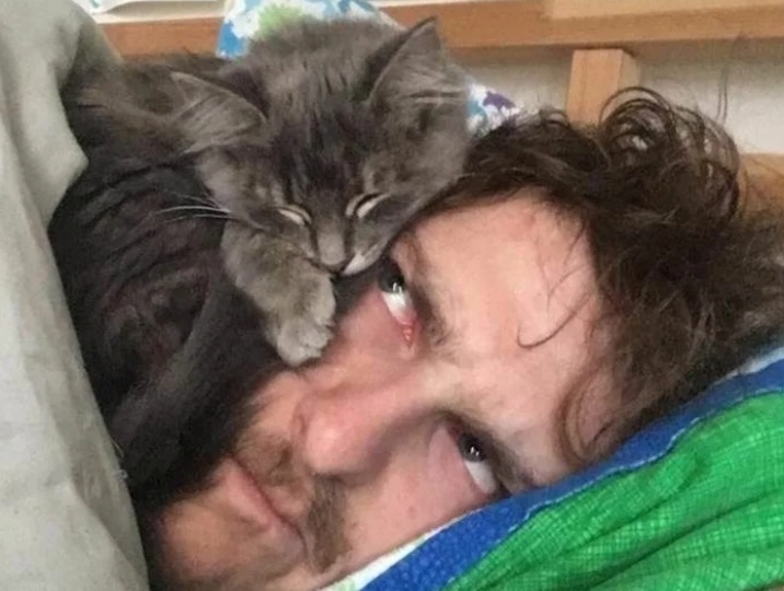 Почему кошка спит на голове хозяина