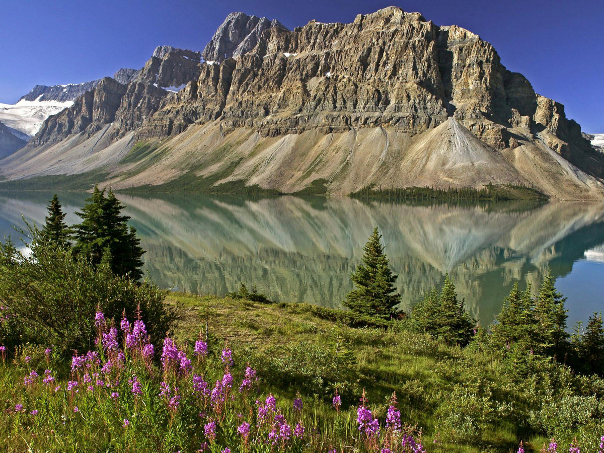 Фото взято из интернета.