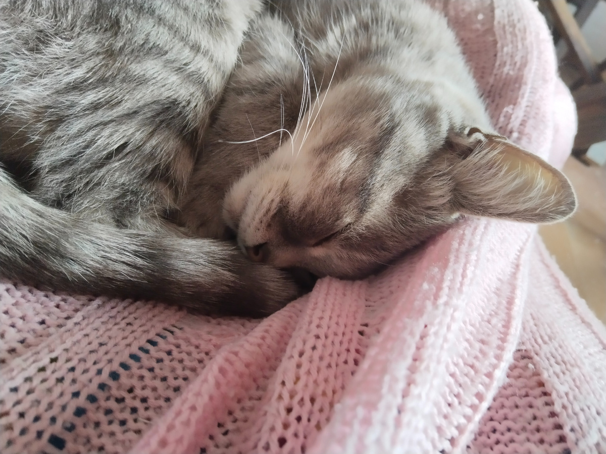 Скоро вы услышите мое мнение и мнение Сары) 