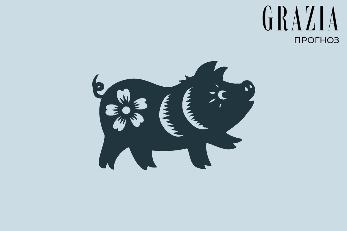     Чего ждать от 2025-го тем, кто родился в год Свиньи: подробный гороскоп