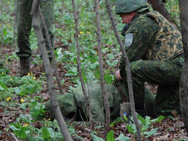    © РИА Новости Сергей Аверин