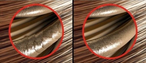 Источник: Яндекс Картинки