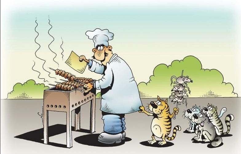 Источник Яндекс картинки