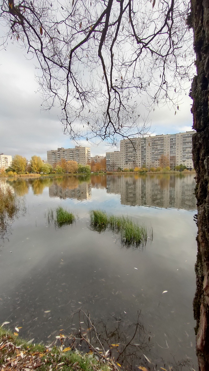 Фото автора 