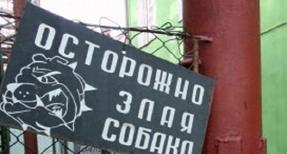    РИА «Новости»