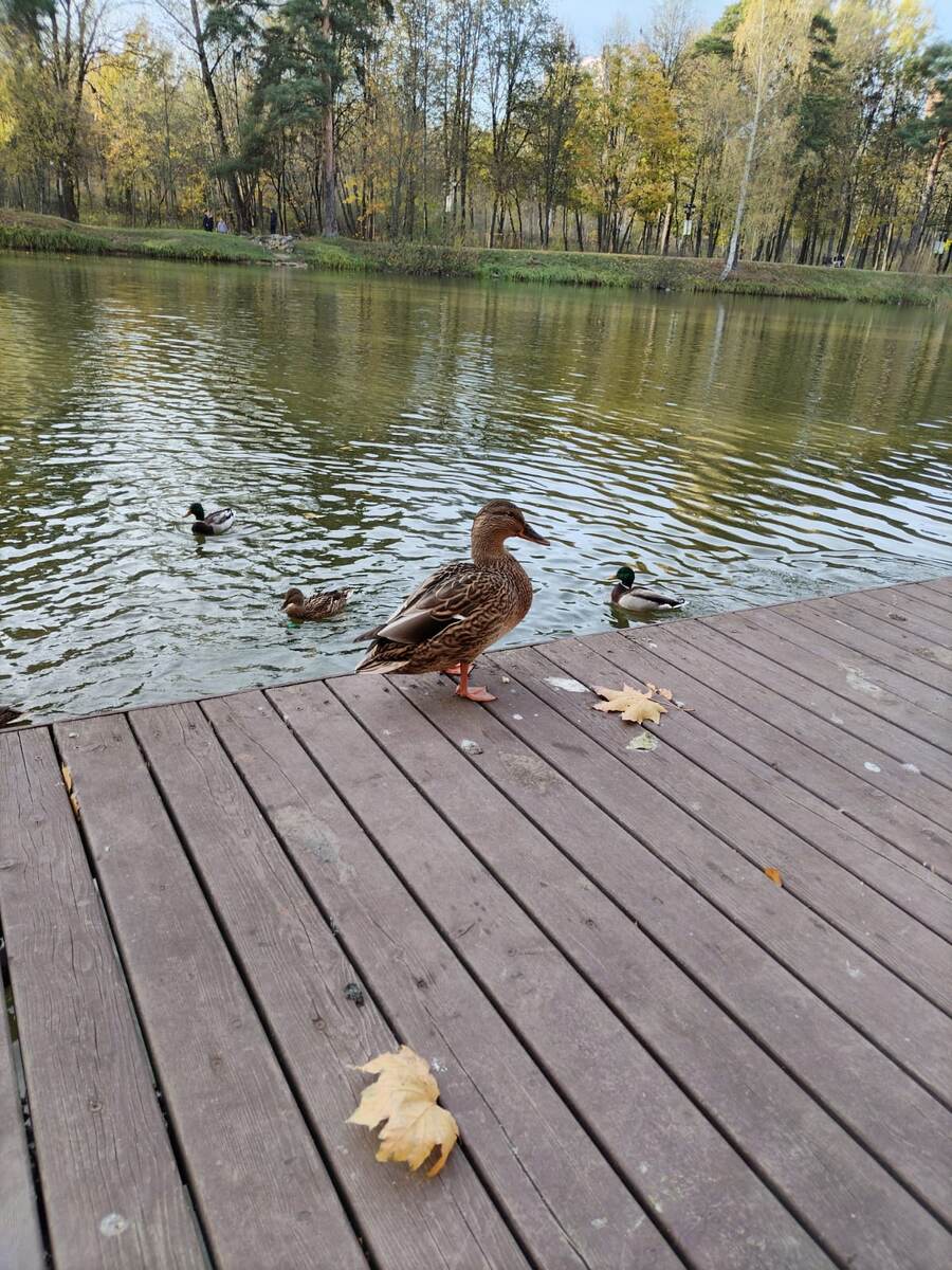 Фотографии, сделанные в эти удивительные солнечные дни...