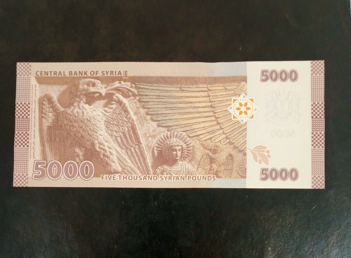 Оборотная сторона банкноты 5000 фунтов