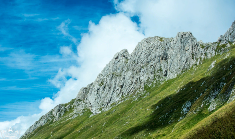    Фото: pxhere.com Мария Черных